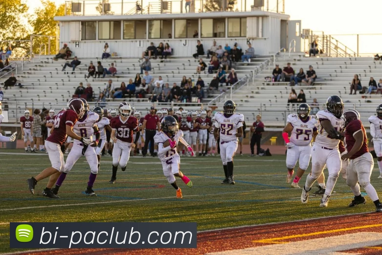 PA集团体育平台生态图